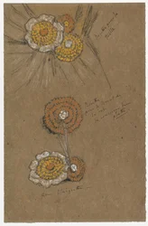 Studien von Rosetten, 1871-74